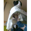 avatar Smudge2011