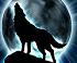 avatar adix10