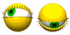 avatar aeb