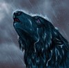 avatar ciemnywilk