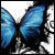 avatar ciorna22
