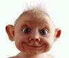 avatar dami123