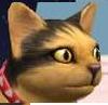 avatar darek13