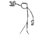 avatar demodras