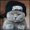 avatar dima