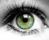 avatar doma88