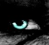 avatar eragon7