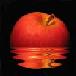 avatar ewewew7
