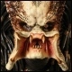 avatar gouzu
