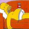 avatar homer