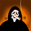 avatar kapi1000
