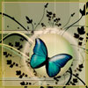 avatar klaudusia971
