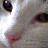 avatar kubi96