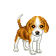 avatar lorelay91