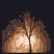 avatar madziack