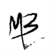 avatar mainecoonek