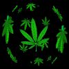 avatar marihuana