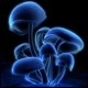 avatar nezh