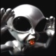 avatar pap31