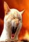 avatar patryk11332