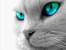 avatar patryk5