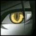 avatar pipa92