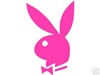 avatar pulciaa