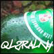 avatar ql2ralny