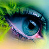 avatar sallamandra