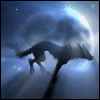 avatar shadow98