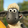 avatar shaun