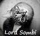 avatar sombi