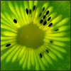 avatar sorel