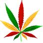 avatar thieff21
