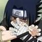 avatar whinter