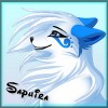 avatar wilczyca33