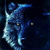 avatar wilk073