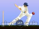 Miniaturka gry: Top Spiner Crickiet