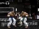Miniaturka gry: Final Knockout