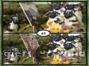 Miniaturka gry: Spot  The Difference