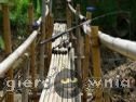 Miniaturka gry: Tipping Point 4